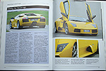 Lamborghini Supercars from Sant'Agata by Anthony Pritchard