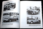 Illustrated Lamborghini Buyer's Guide by Rob de la Rive Box